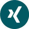 Xing Social Icon